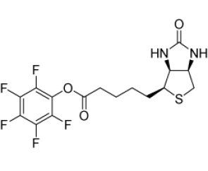 Biotin pentafluorophenyl ester